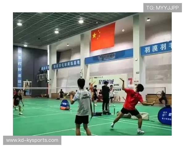 国际羽毛球巡回赛在基层推广中提供器材与场地支持缓解资源短缺